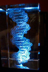 DNA cube