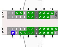Seat Assignment