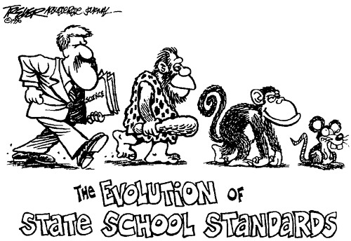 Evolution of School Standards