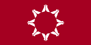 Lakota Flag