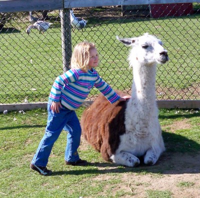 Sarah being cute with a llama