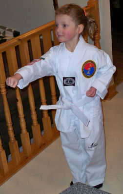 Taekwondo can be translated as "the art of kicking and punching"