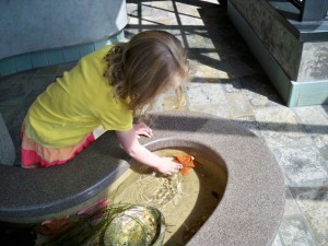 Monterey Aquarium Touch Tank