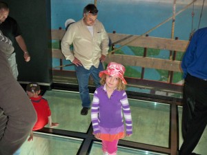 Sarah and Ralph on glass floor