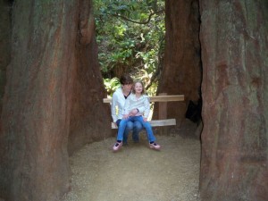 Girls in a tree