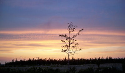 Nova Scotia Sky 1