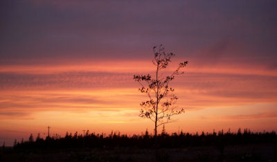 Nova Scotia Sky 3