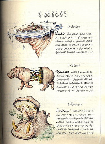 Codex Seraphinianus 101