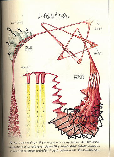 Codex Seraphinianus 153